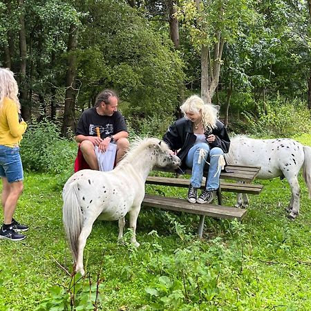 Næstved The Parrot Hotel, Live In A Rescue Animal Park מראה חיצוני תמונה