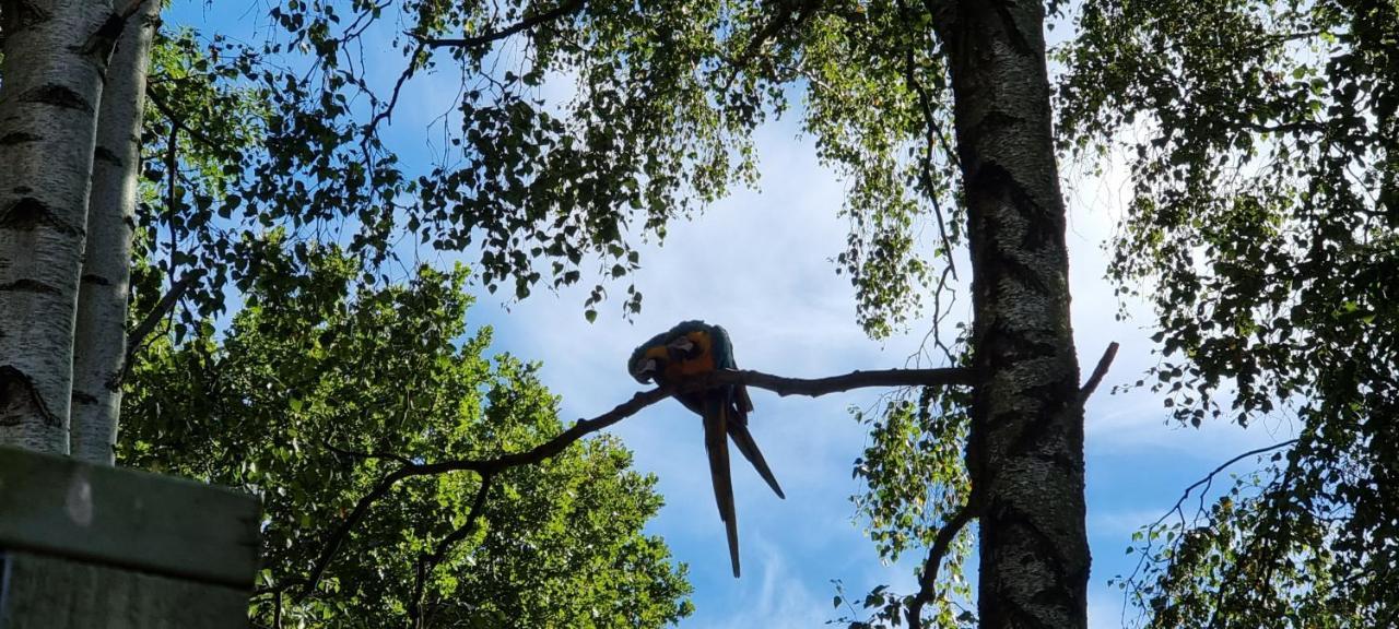 Næstved The Parrot Hotel, Live In A Rescue Animal Park מראה חיצוני תמונה